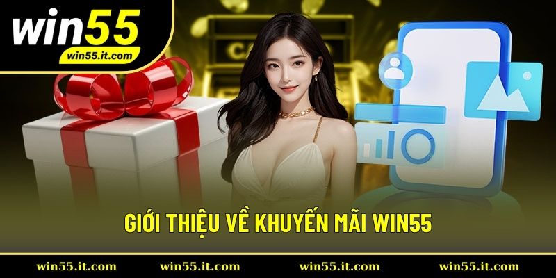 Sơ lược chung về khuyến mãi Win55